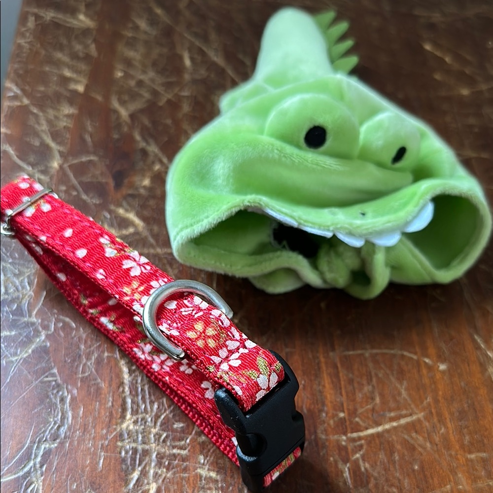Alligator Cat Hat & Red Collar from Japan - NWOT